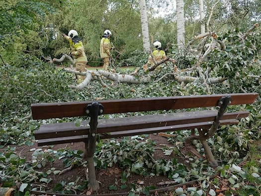 Ein massiver Baumstamm liegt quer über einem Parkweg und einer Holzbank im Dresdner Blüherpark. Drei Feuerwehrleute in gelber Schutzkleidung und Helmen arbeiten im dichten Geäst und Laub, um den Weg freizuräumen.