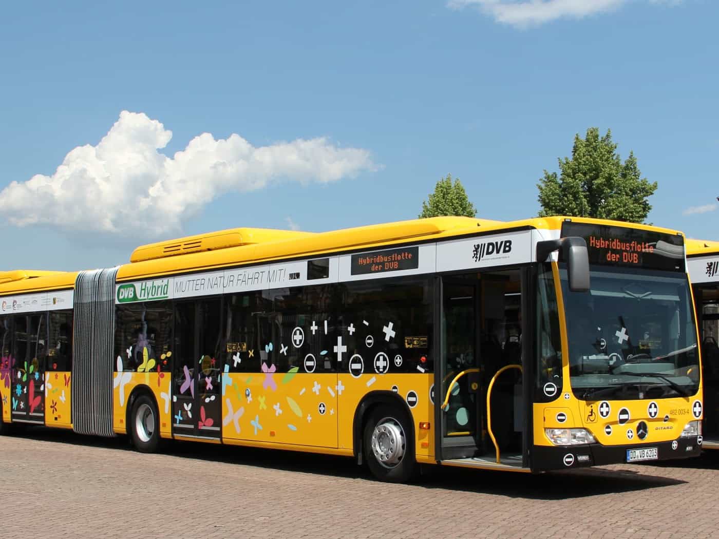 Zwei gelbe Busse der Dresdner Verkehrsbetriebe stehen nebeneinander auf einem gepflasterten Platz unter blauem Himmel. Der linke Gelenkbus trägt bunte Musteraufdrucke.