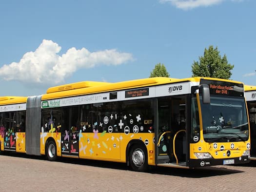 Zwei gelbe Busse der Dresdner Verkehrsbetriebe stehen nebeneinander auf einem gepflasterten Platz unter blauem Himmel. Der linke Gelenkbus trägt bunte Musteraufdrucke.