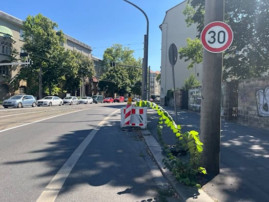 Blick auf eine sonnige Straße in Dresden mit einem Tempo-30-Schild an einem Mast im Vordergrund. Dahinter stehen eine rot-weiße Absperrbarke und geparkte Autos. Ein grüner Zweig wächst am Straßenrand empor.