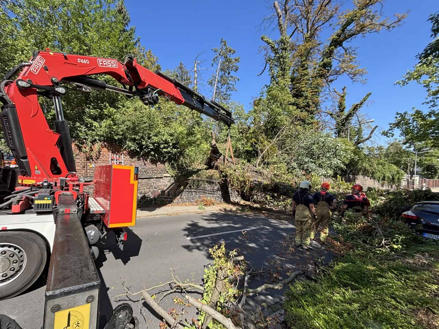 Ein roter Feuerwehr-Rüstwagen mit einem Kranarm steht auf der Straße. Feuerwehrleute in Einsatzkleidung bergen einen riesigen, umgestürzten Baum, der quer über die Wiesbadener Straße in Dresden-Löbtau liegt.