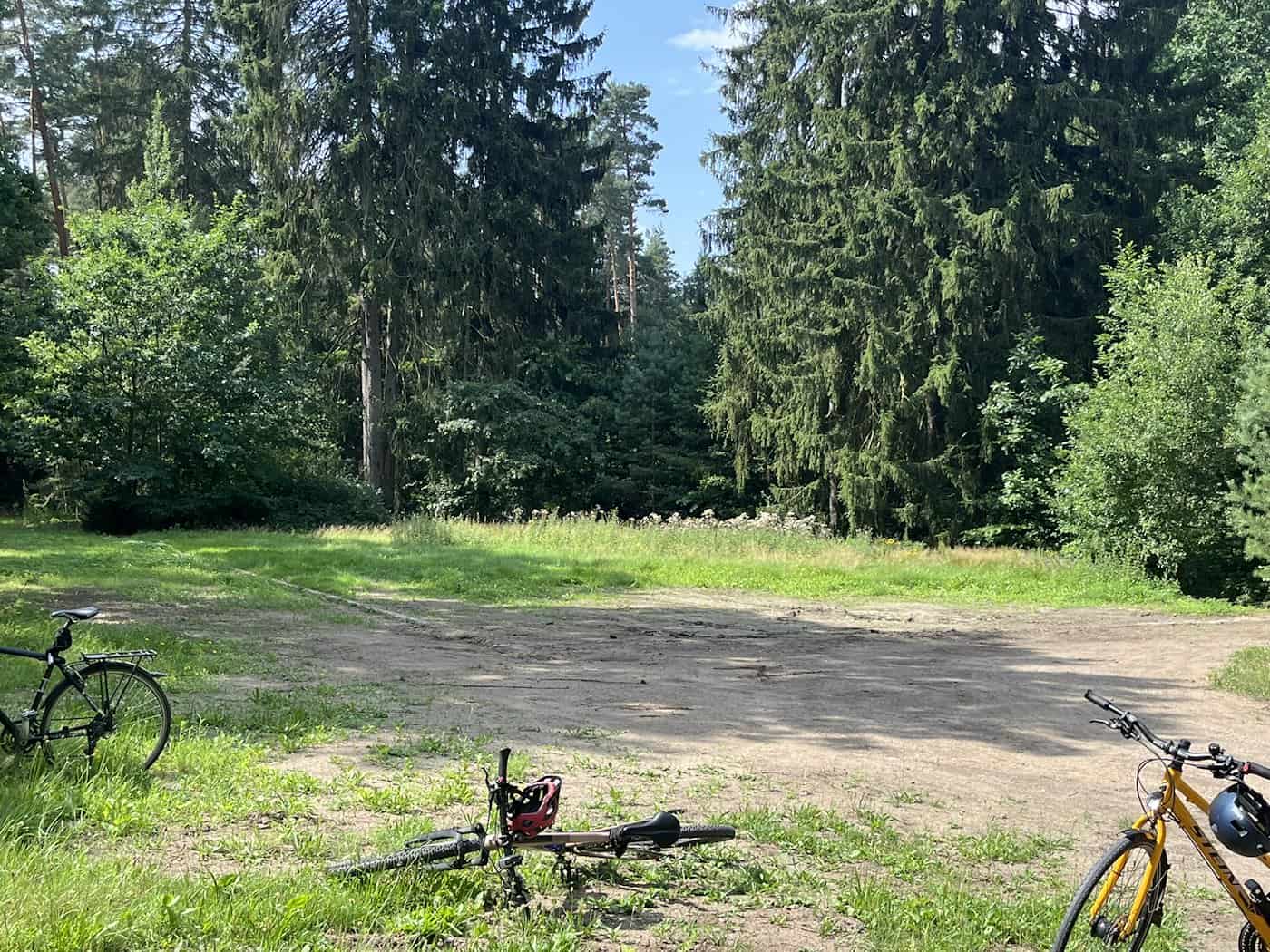 Mehrere Fahrräder liegen im Gras auf einem Waldweg in der Dresdner Heide vor einem dicht bewachsenen Waldstück im Sonnenlicht.