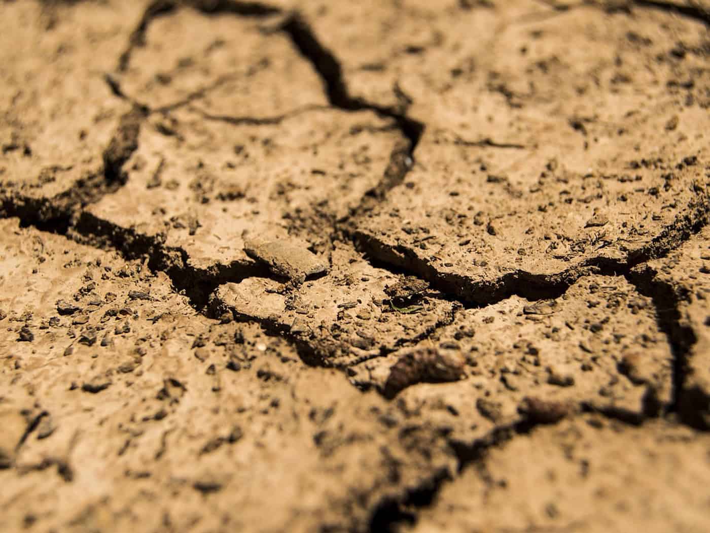 Tschechiens Flüsse verzeichnen historische Tiefstände durch Dürre
