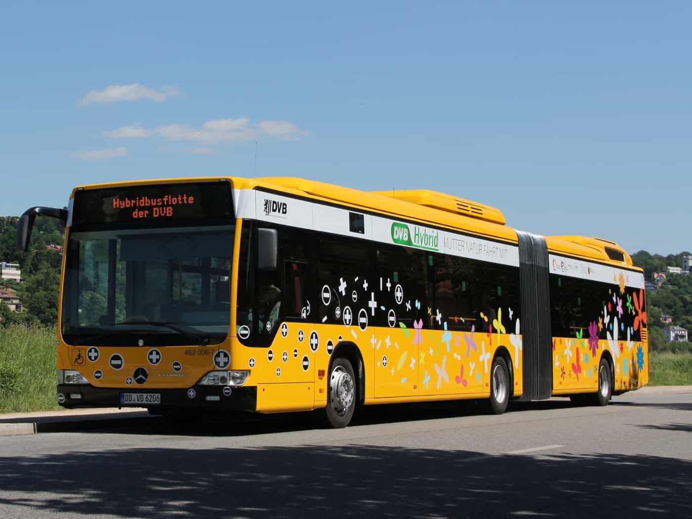 Ein gelber Gelenkbus der Dresdner Verkehrsbetriebe (DVB) mit bunter Aufschrift „DVB Hybrid“ fährt auf einer schattigen Straße. Im Hintergrund sind grüne Wiesen, Bäume und ein leicht bewölkter blauer Himmel zu sehen.