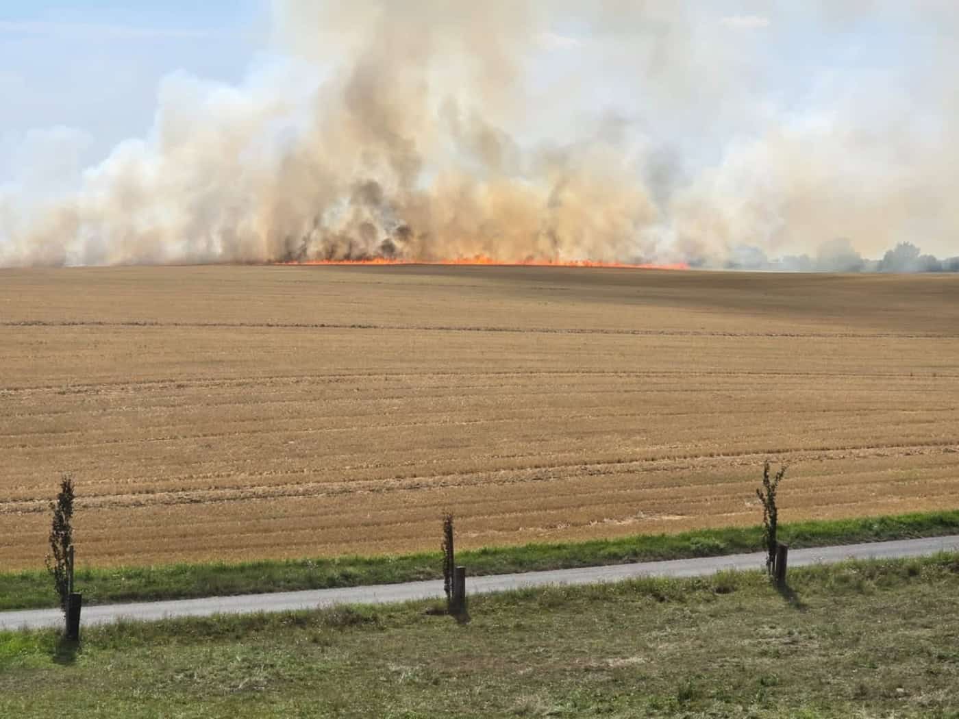 Stoppelbrand vor Weingut in Meißen gestoppt