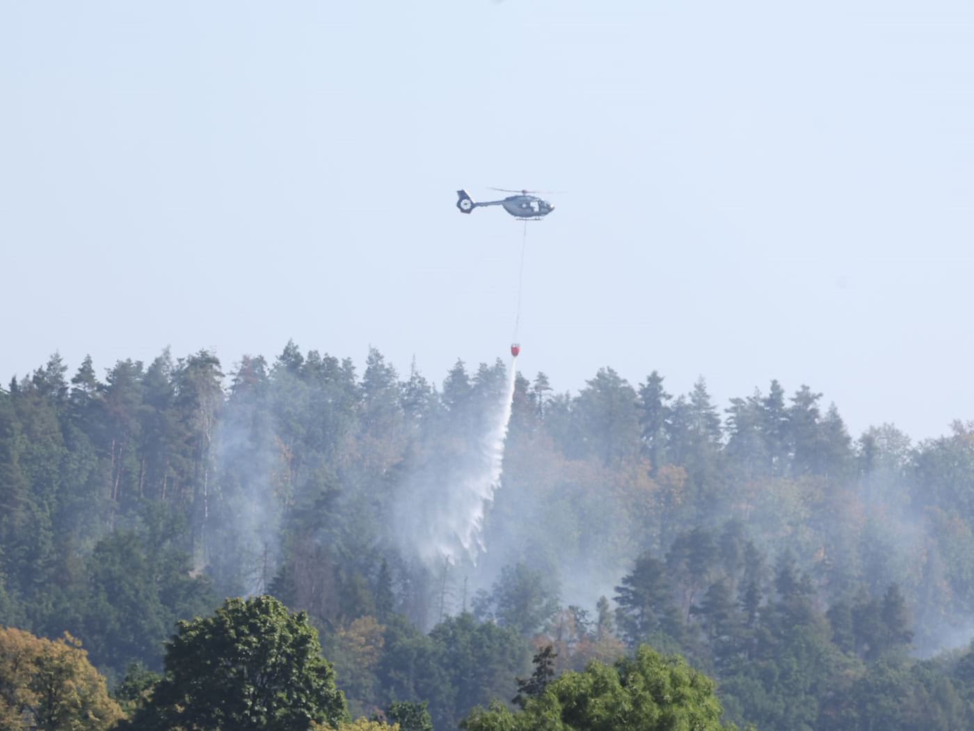 Feuerwehr beendet Einsatz im «Schwarzen Holz» bei Plauen