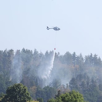 Feuerwehr beendet Einsatz im «Schwarzen Holz» bei Plauen