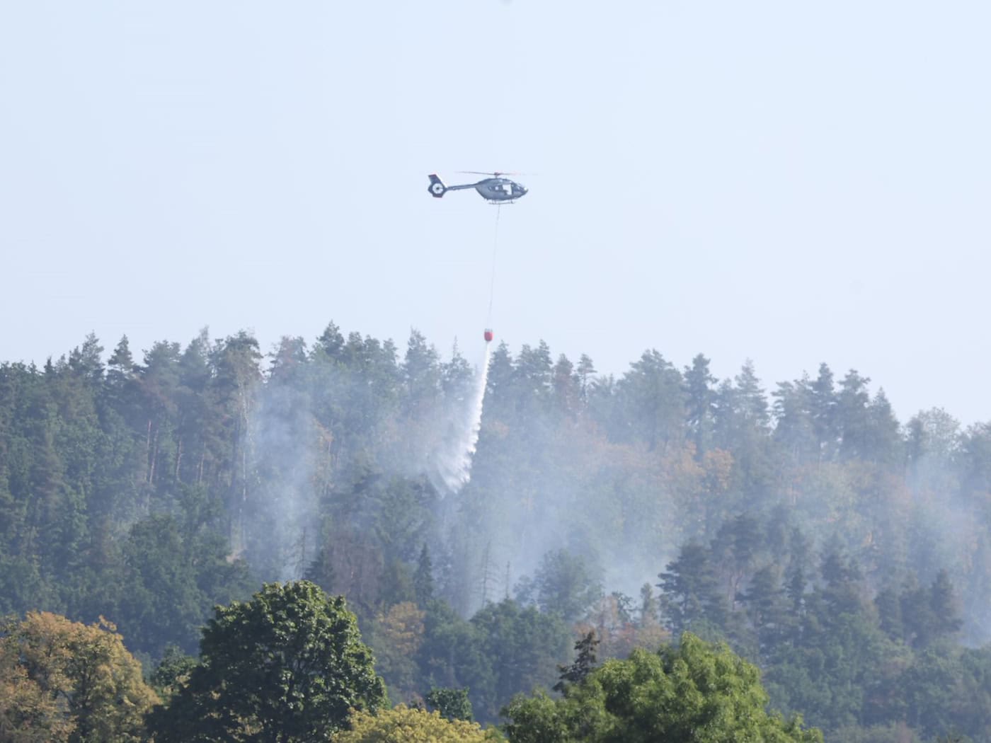 Feuerwehr kämpft weiter gegen Waldbrand bei Plauen