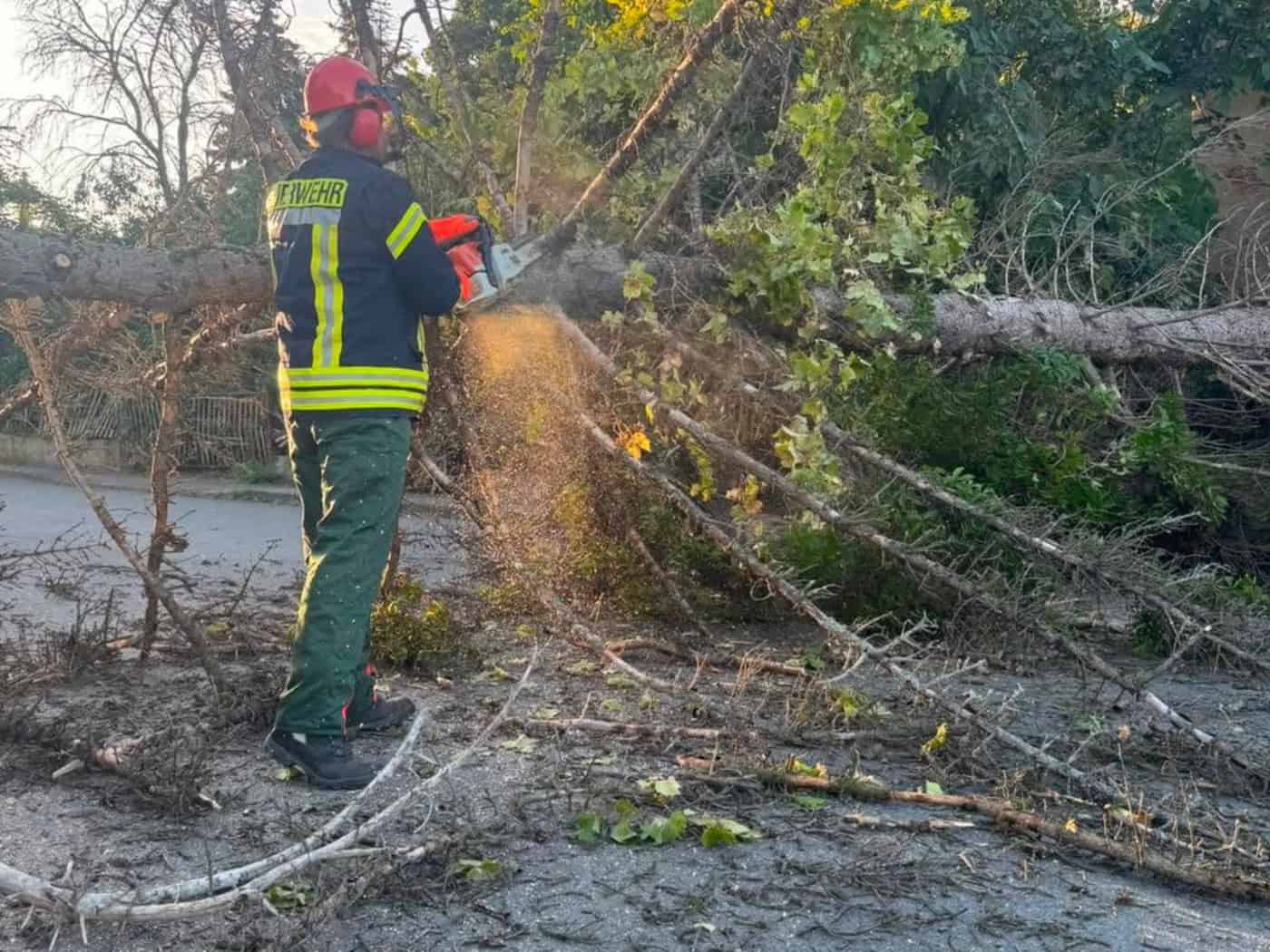 Seerhausen: Baum blockiert Straße und beschädigt Stromleitung