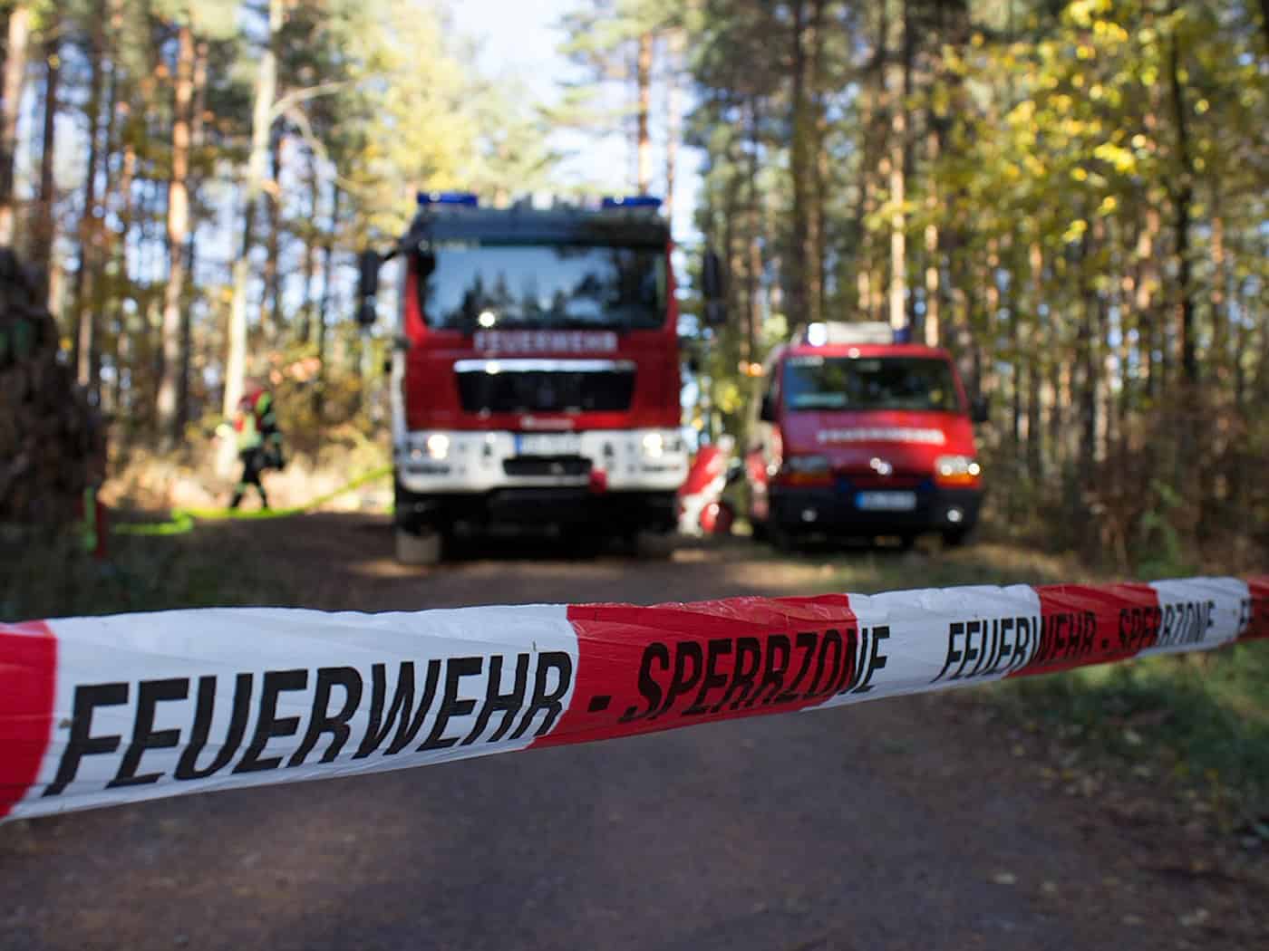 Baumfällung mit Folgen: Stromleitung durchtrennt – Waldboden in Wilthen geht in Flammen auf