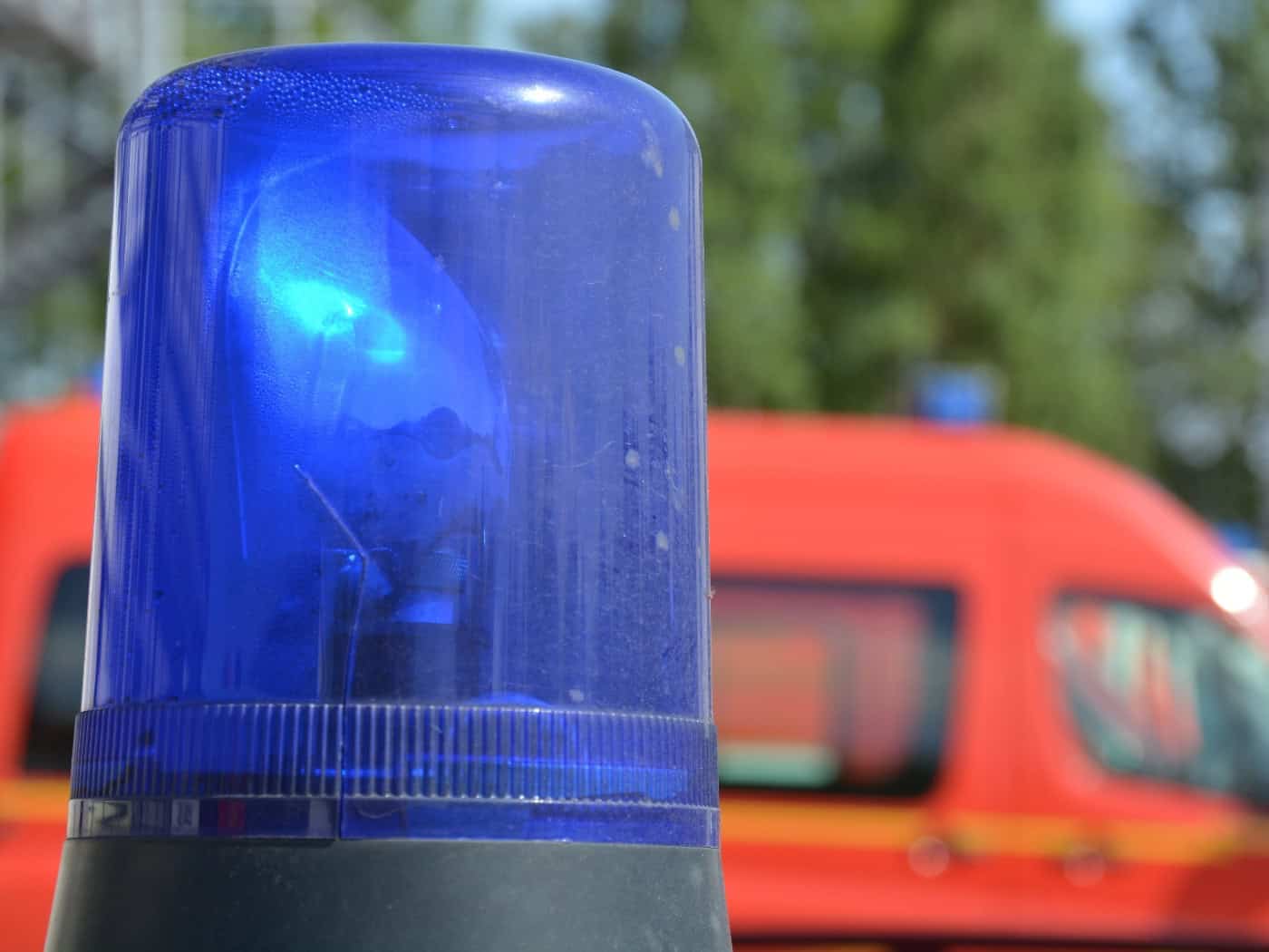 Ast auf der Straße: Skoda schleudert gegen Ortsschild