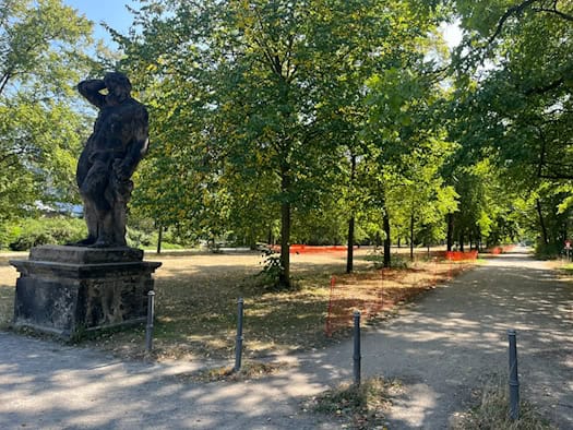 Eine historische Sandsteinstatue auf einem Sockel im Vordergrund am Eingang zur Herkulesallee im Großen Garten Dresden. Der von Linden gesäumte Parkweg ist dahinter mit orangenen Schutzzäunen abgesperrt.
