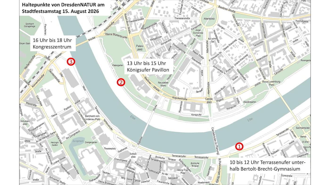 Karte der Haltepunkte von DresdenNATUR beim Stadtfest an der Elbe Stadtplankarte von Dresden entlang der Elbe mit drei rot markierten Haltepunkten und Uhrzeiten für den Infostand des Naturschutzprojekts DresdenNATUR am Stadtfest-Samstag.