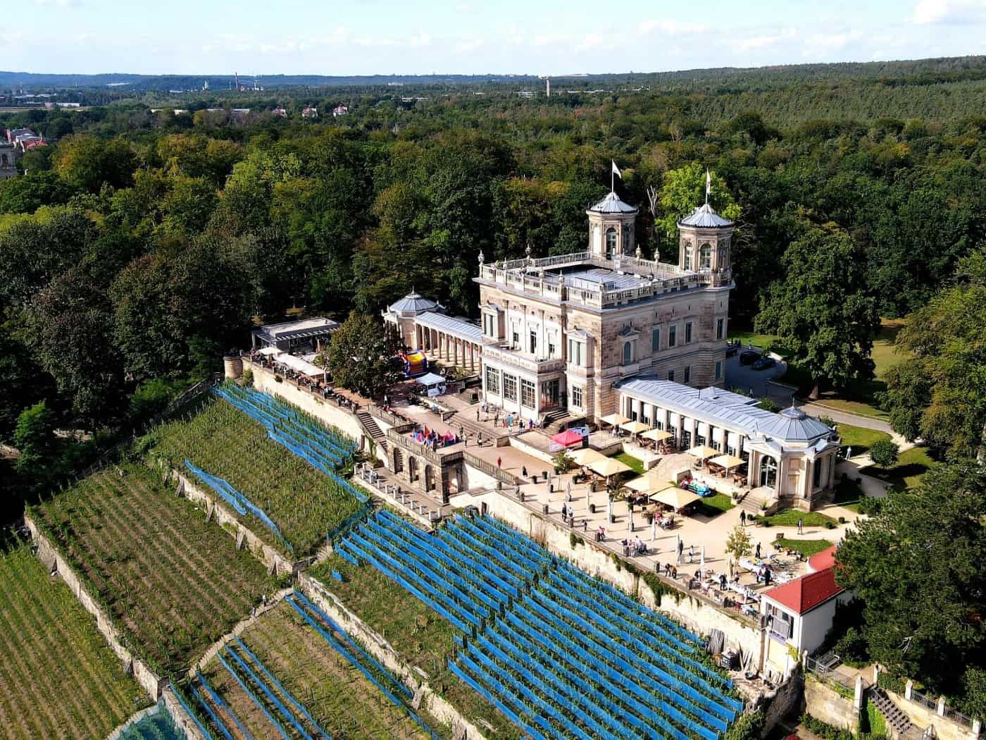 Luftaufnahme des historischen Lingnerschlosses in Dresden auf einem bewaldeten Elbhang. Unterhalb der Terrassen erstreckt sich ein steiler Weinberg mit blauen Schutznetzen. Auf den Außenterrassen befinden sich Sonnenschirme und zahlreiche Besucher bei sonnigem Wetter.