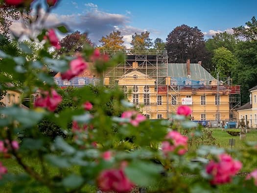 Ein gelbes, zweietagiges Barockschloss mit Baugerüst, im Vordergrund halb verdeckt durch einen Rosenstrauch