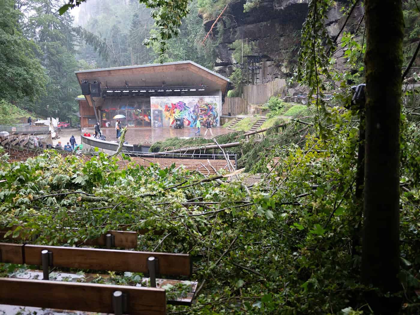 Nach Unwetter: Betreten des Waldes offiziell verboten