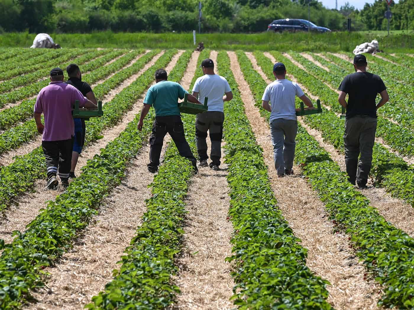 Without immigration, Eastern Germany is losing a large number of workers