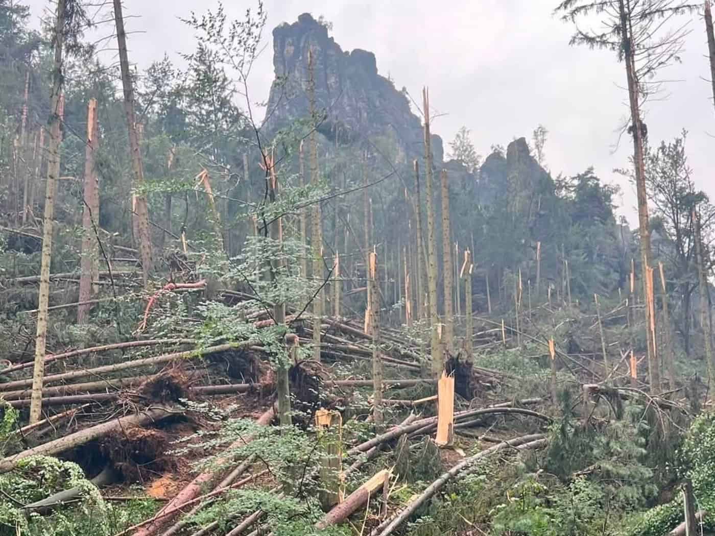 Spendenaufruf nach Unwetterschäden an der Felsenbühne Rathen