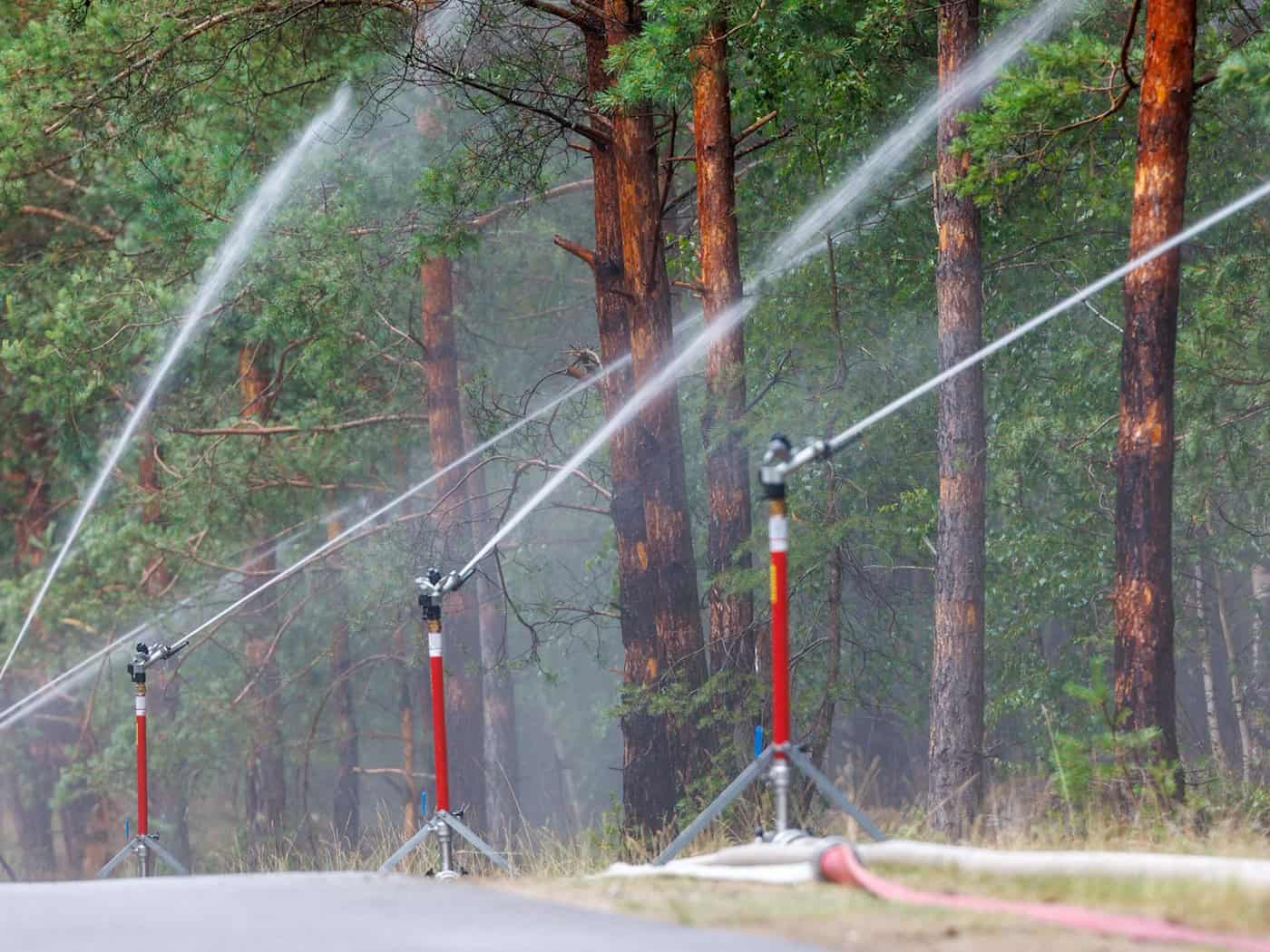 Regen bringt kurze Entspannung bei Waldbrandgefahr