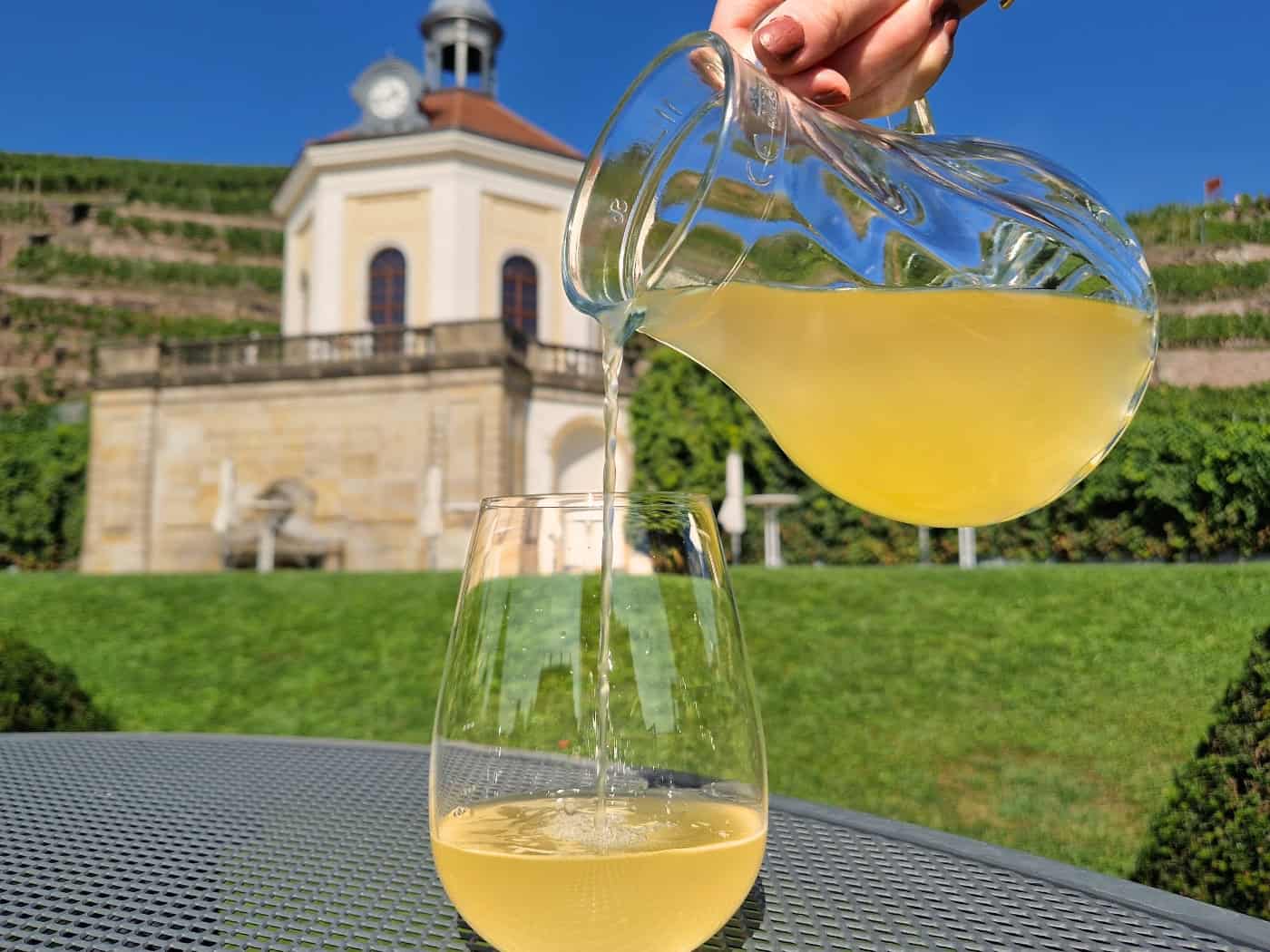 Radebeul: Schloss Wackerbarth startet nächste Woche die Weinlese 