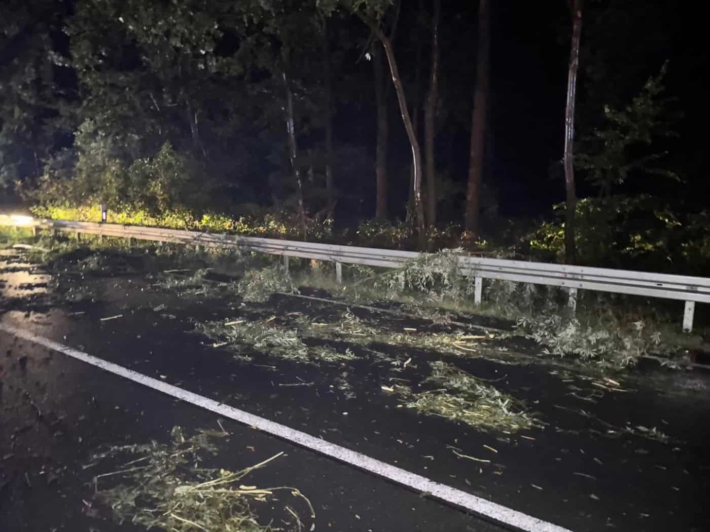 Feuerwehr Seerhausen: Mehrere Sturmeinsätze wegen Bäumen und Schlamm