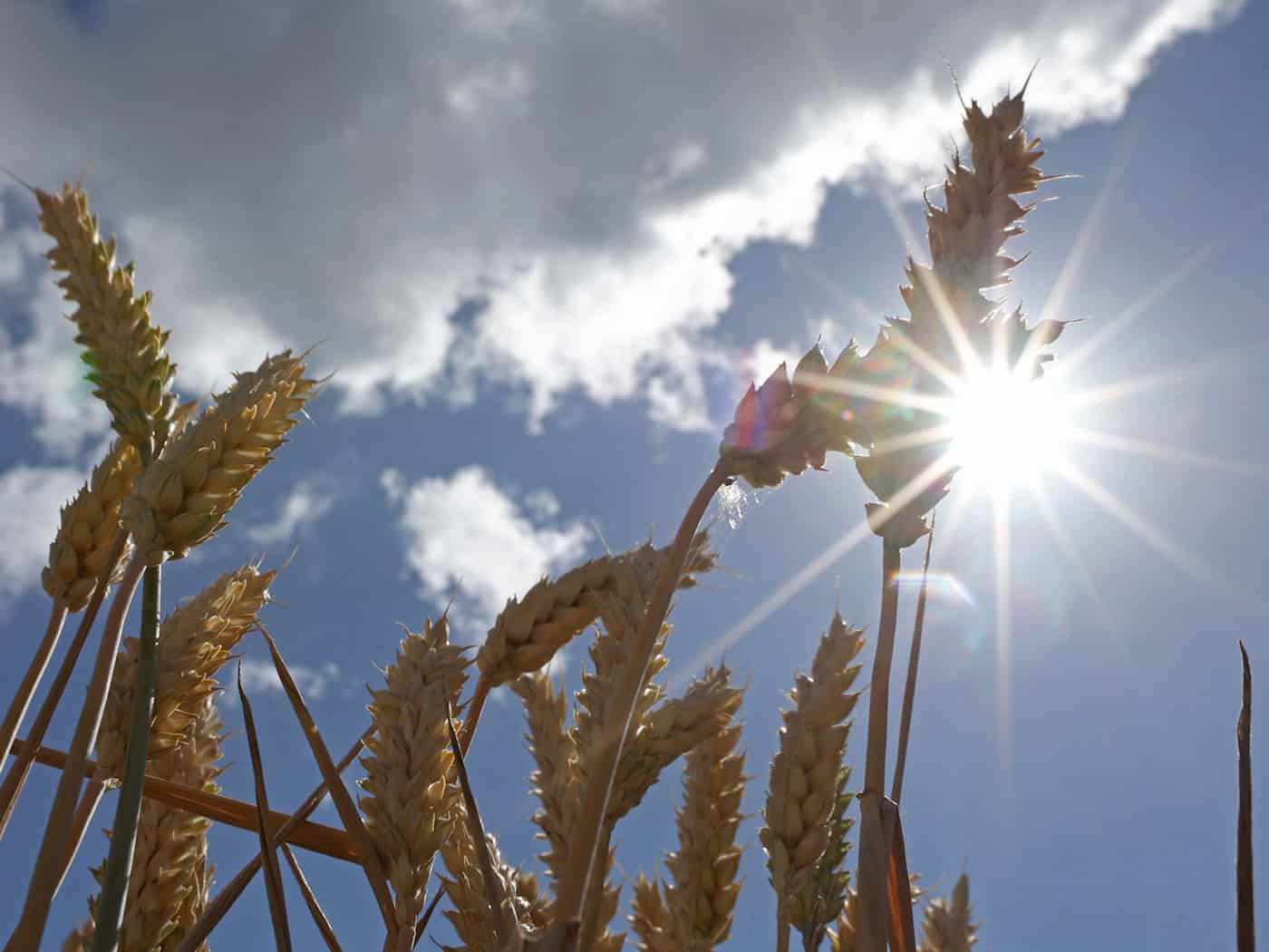 Sonne zeigt sich zum Wochenstart