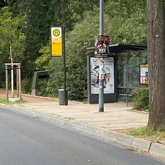 Blick auf eine Straße an einer Bushaltestelle in Dresden mit dichtem Gebüsch und Bäumen im Hintergrund. Rechts neben dem gläsernen Wartehäuschen duckt sich ein olivgrüner, kastenartiger Messanhänger (Superblitzer) ins Grün.