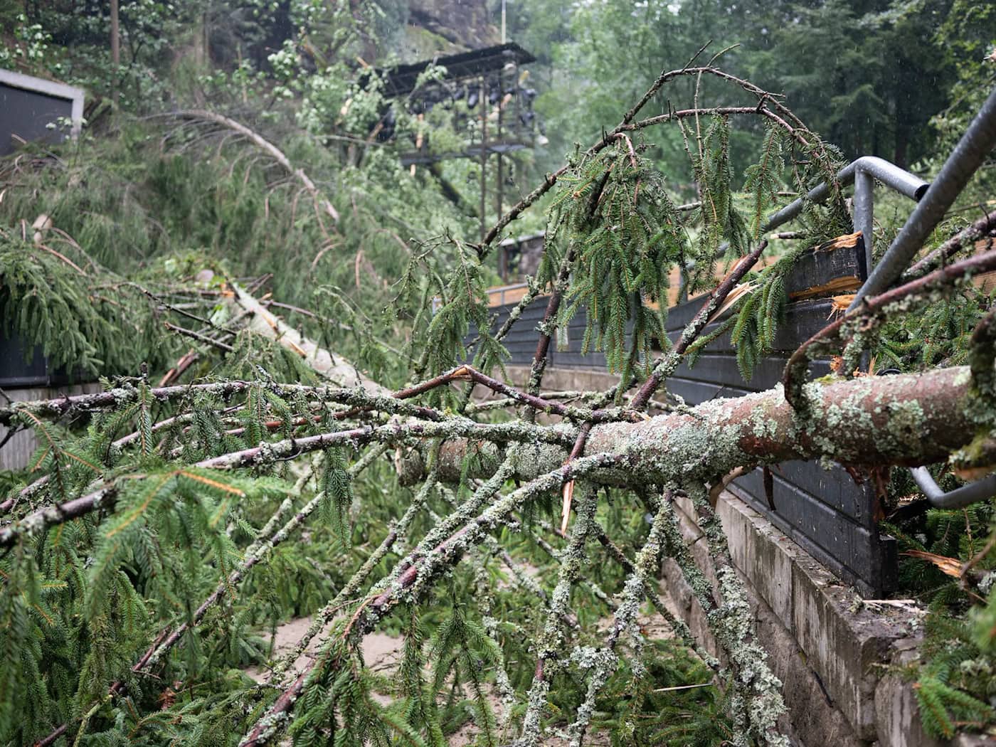 Tornado oder Fallböe - Wie sich Unwetter unterscheiden