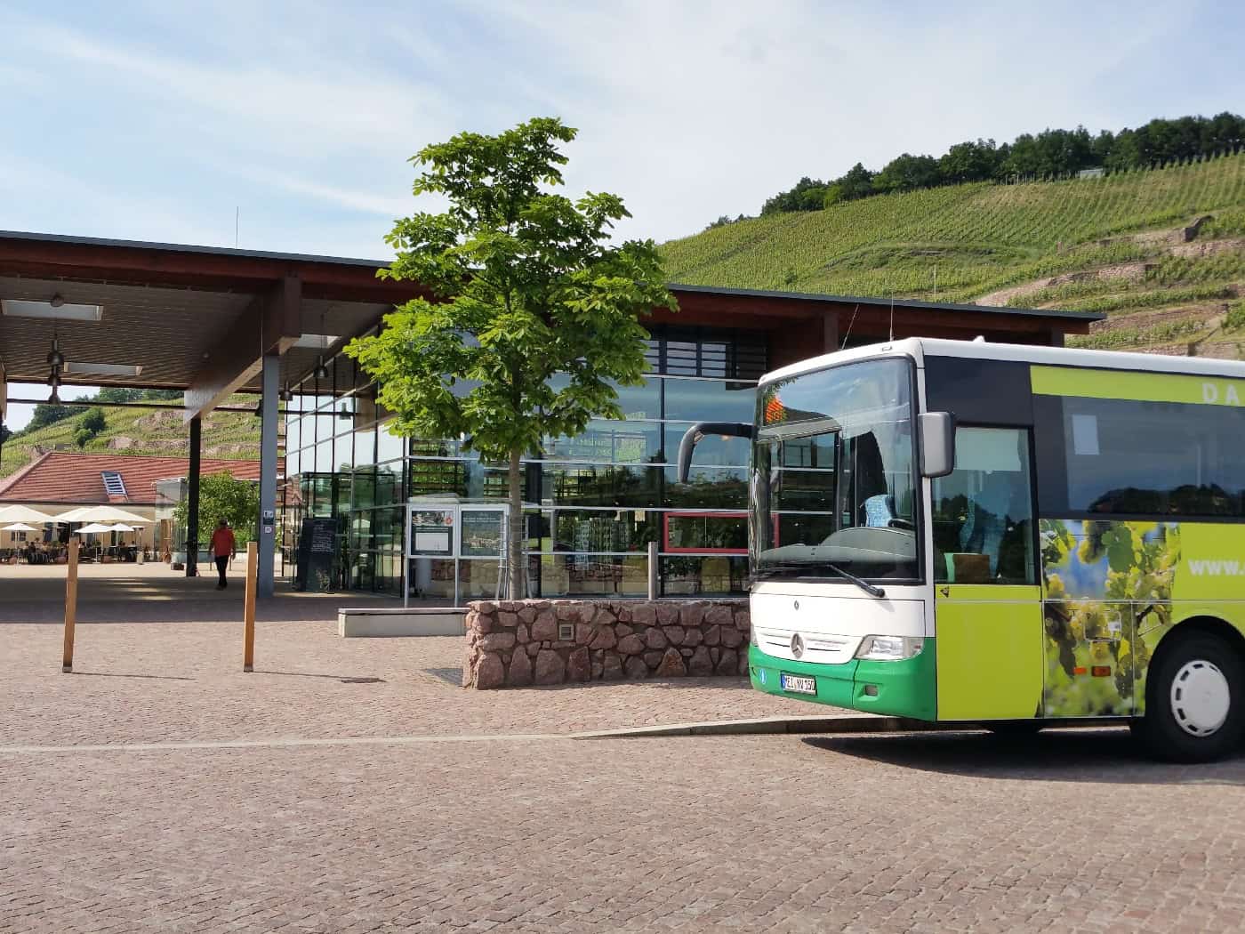 Sonderbusse fahren zu Herbst- und Weinfesten im Kreis Meißen