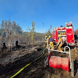 Waldbrand bei Plauen: Einsatzkräfte werden reduziert