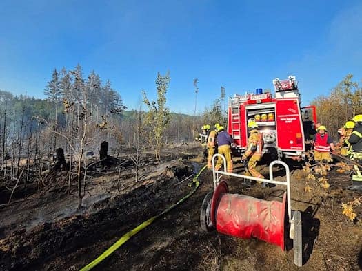 Waldbrand bei Plauen: Einsatzkräfte werden reduziert