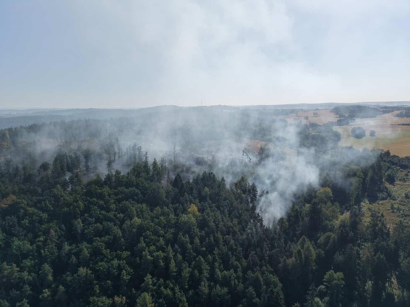 Waldbrand bei Plauen unter Kontrolle - Einsatz dauert an
