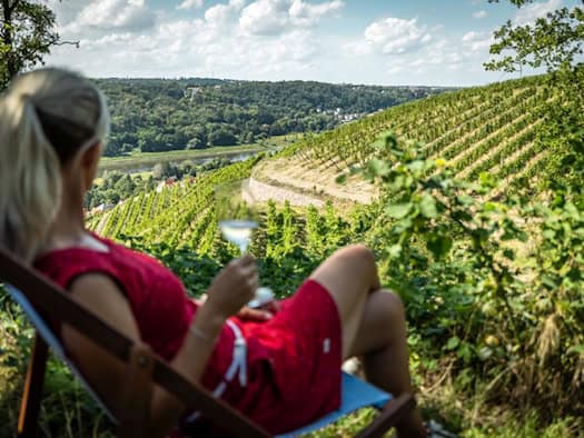 Kultursommer in Meißen verbindet Klassik und Wein