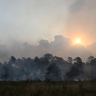 Wolkenforscher: Rauchpartikel aus Bordeaux über Deutschland