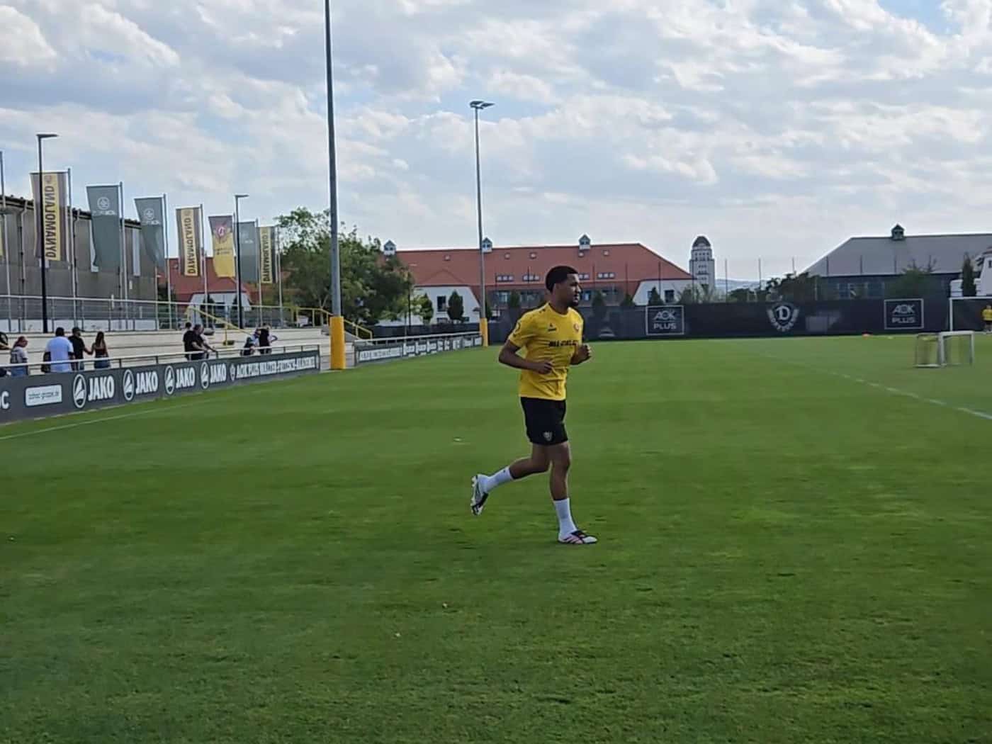 Dynamo Dresden Flag