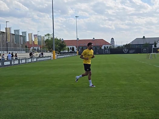 Dynamo Dresden Flagge