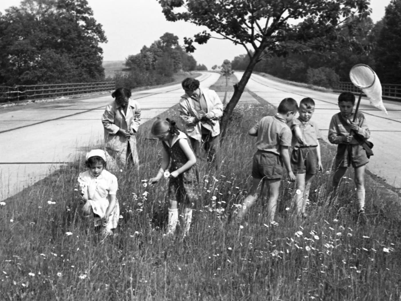 Ein Blick zur Seite: Das Leben an der Autobahn A4