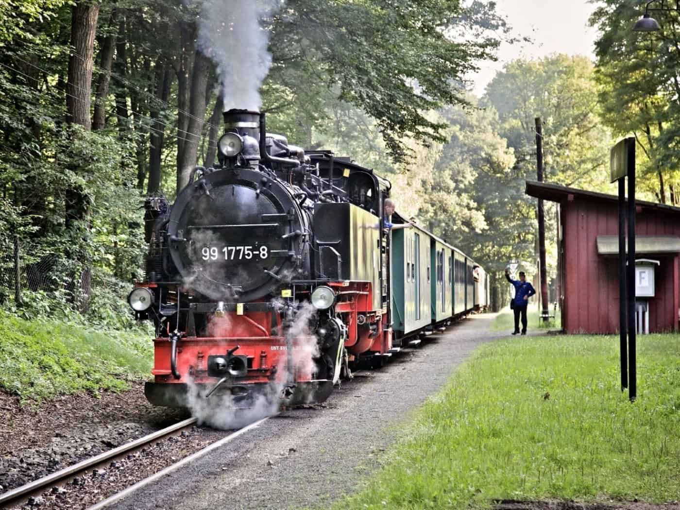 Radebeul: Schmalspurbahn-Festival lockt an die Lößnitzgrundbahn