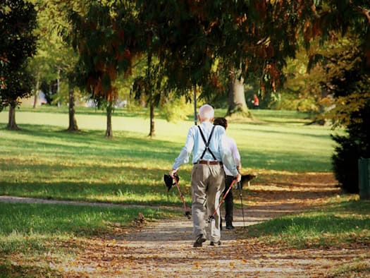 Rückansicht eines älteren Mannes mit Hosenträgern und Nordic-Walking-Stöcken, der mit einer Begleitperson auf einem Weg durch einen Park geht. Rundherum erstrecken sich grüne Wiesen und sonnige, herbstliche Bäume.