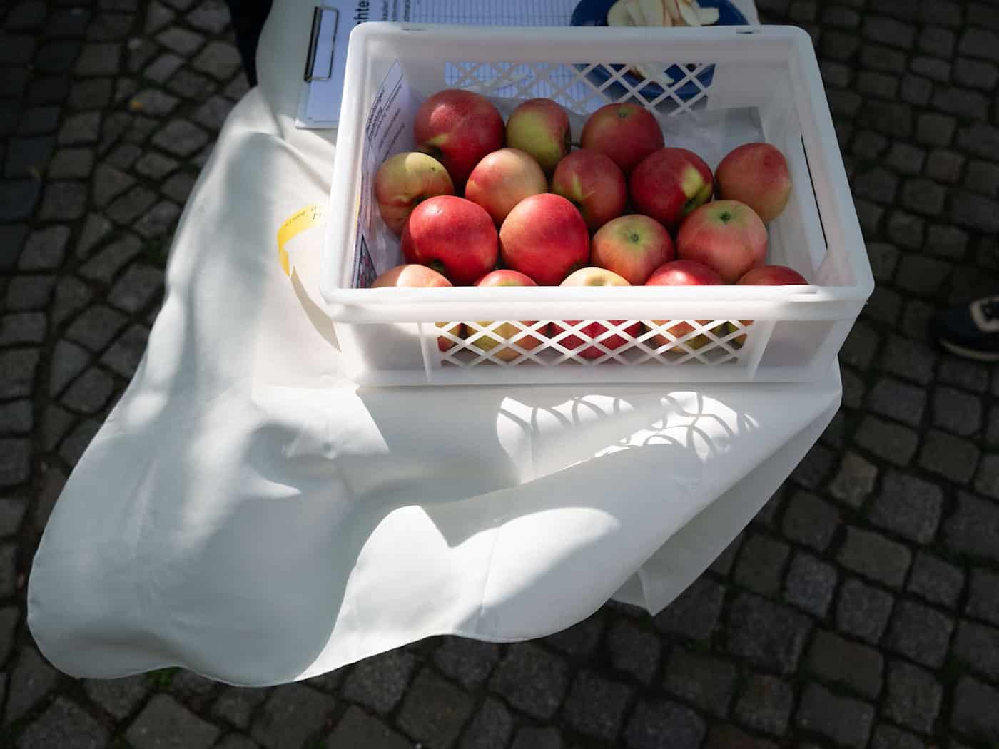 Sklizeň jablek: Nižší výnosy, ale dobrá kvalita