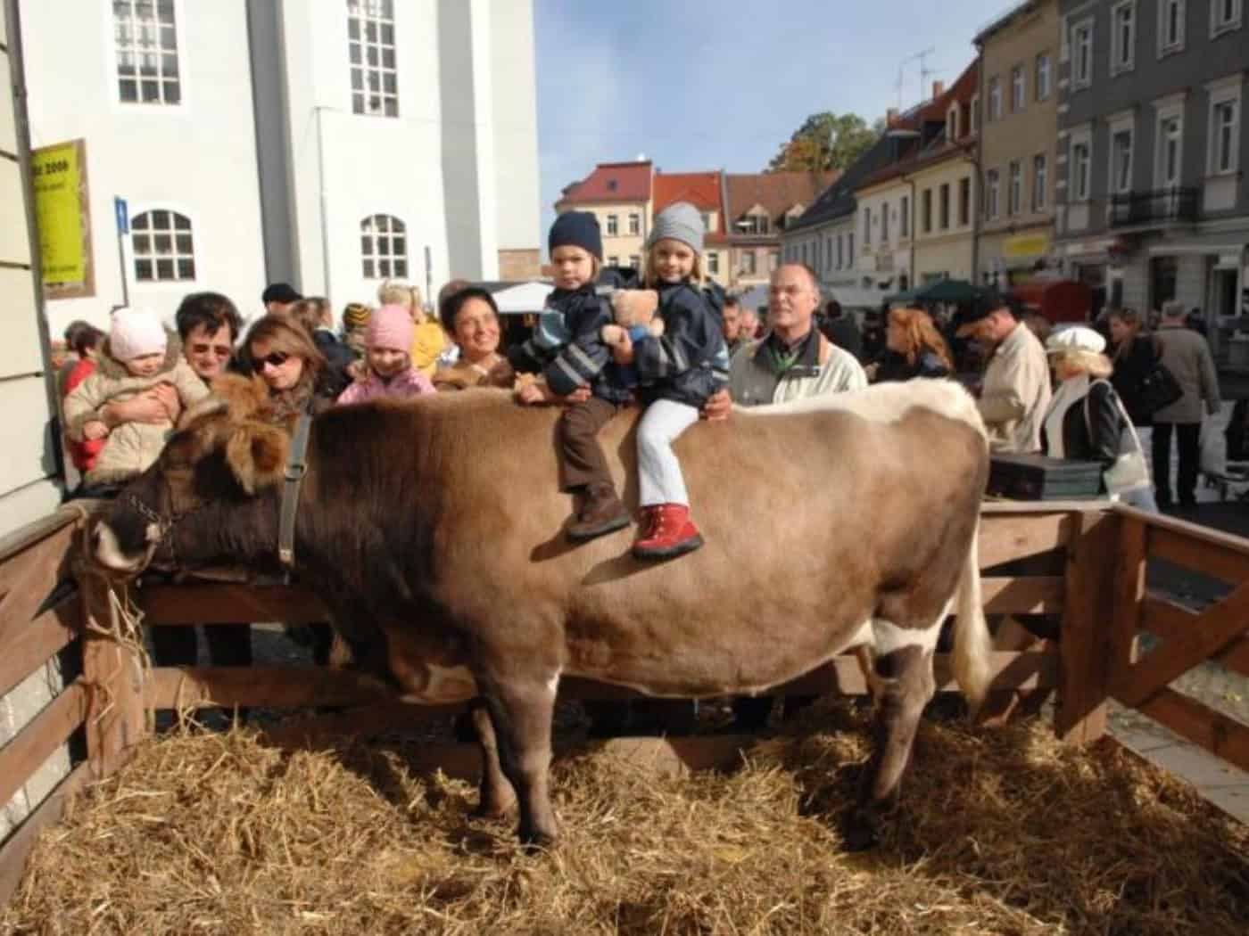 Großenhain lädt zum 30. Bauernmarkt