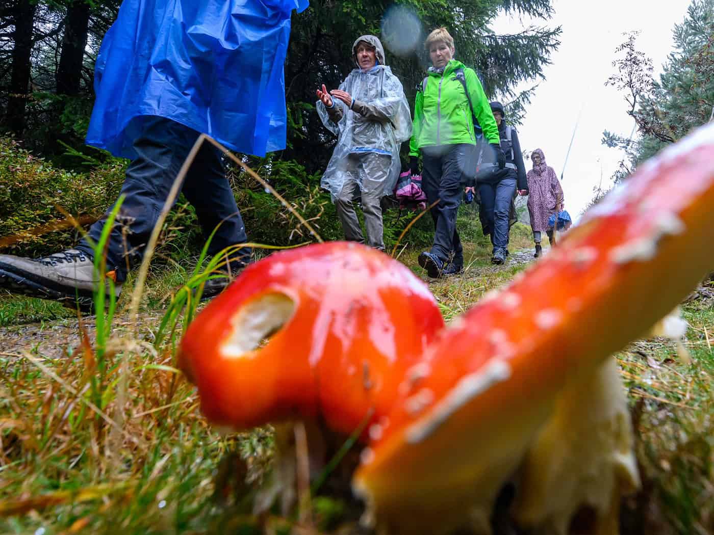 German Hiking Day Ends with a Festive Procession and Mountain Parade