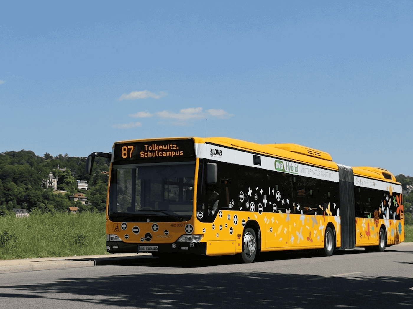 Ein gelber DVB-Gelenkbus der Linie 87 mit der Zielanzeige „87 Tolkewitz, Schulcampus“ fährt bei sonnigem Wetter auf einer Straße an einer Grünfläche vorbei. Im Hintergrund sind bewaldete Hügel unter blauem Himmel mit leichtem Wolkenzug zu sehen.