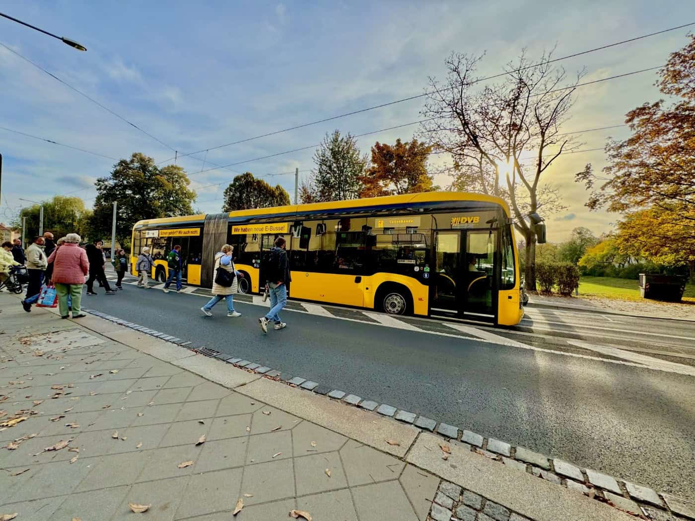 Gelb-schwarzer DVB-Gelenk-Elektrobus steht an einer Dresdner Straße in der Herbstsonne. Passanten überqueren die Straße vor dem Bus, auf dem die Aufschrift „Wir haben neue E-Busse!“ zu sehen ist.