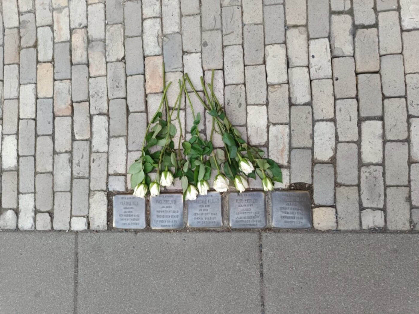 Unbekannte randalieren an Stolperstein in Radebeul