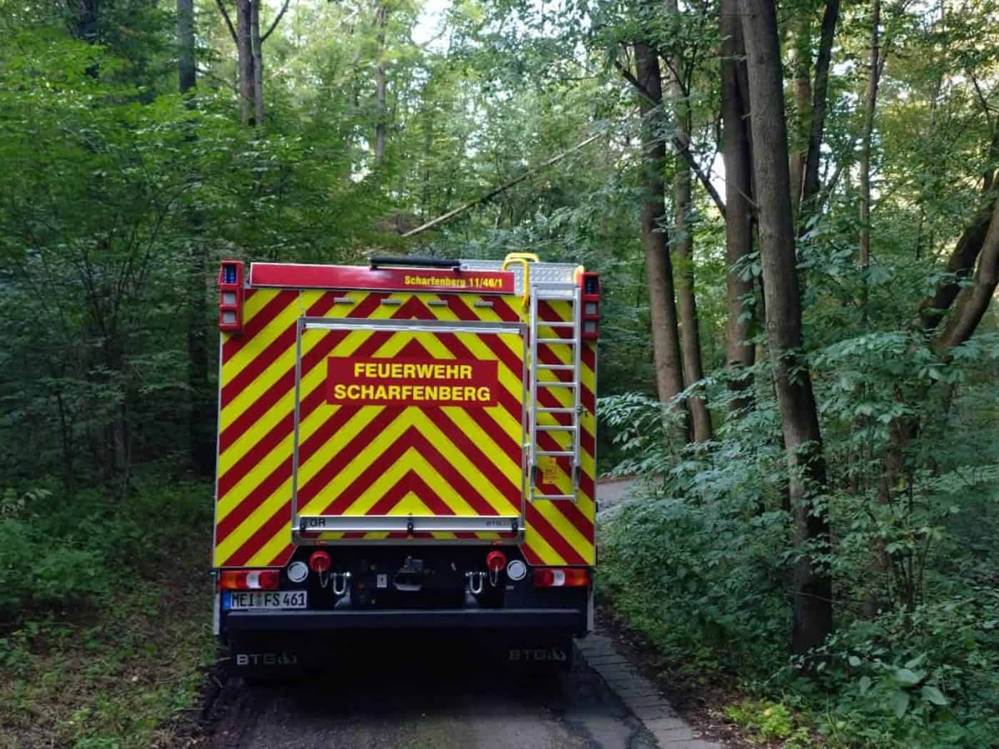 Baum hängt über der Straße in Polenz – Feuerwehr rückt aus