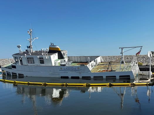 Lehrstunde für Bürokratie: Die Komplexität des Brötchenkaufs im Lubminer Hafen 