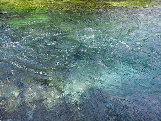 Nahaufnahme von klarem, grünlich-blau schimmerndem Wasser eines Baches, das mit leichten Wellen und Strömungswirbeln fließt. Am Rand und auf dem Grund sind Kieselsteine und grünliche Wasserpflanzen unter der Wasseroberfläche zu erkennen.