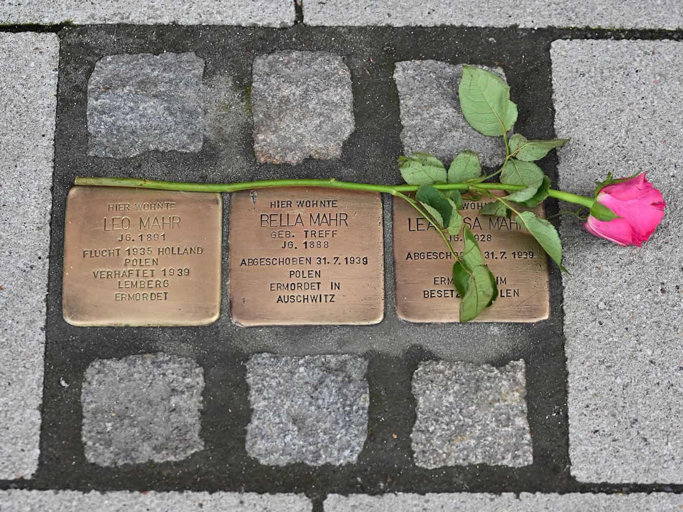 Heidenau stoppt Stolpersteine – Knobloch zeigt sich entsetzt