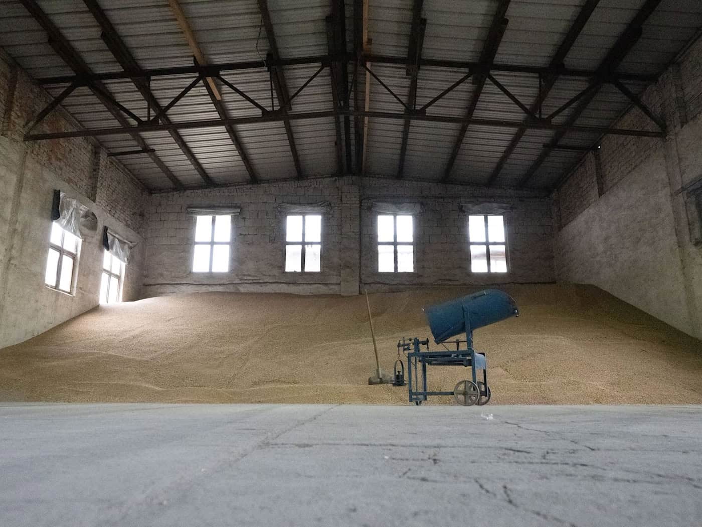 Heat and Drought Weigh on Saxony's Harvest Yields